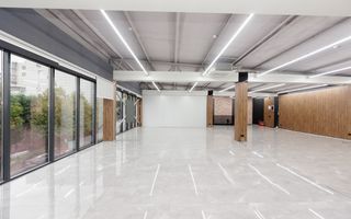 Chirie, spațiu comercial, 262 mp, str. Brincuși, Botanica. - Poză 10