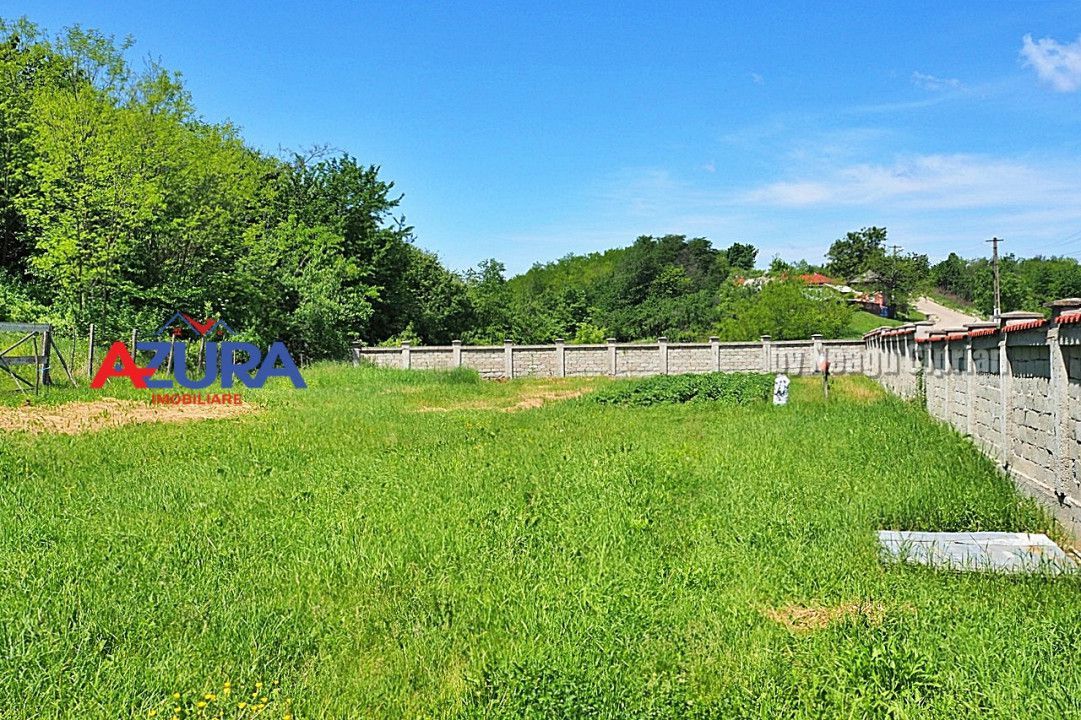 Vanzare vila Albota - Mares - Poză 2