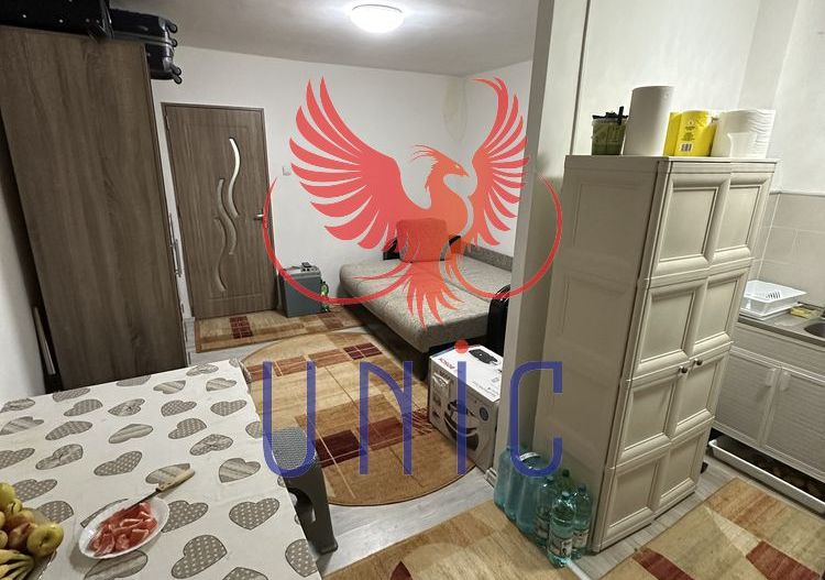 Garsoniera parter - zona Lapus - Poză 5