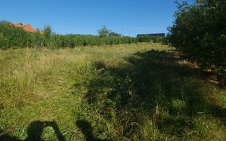 Teren  8 227 mp + Casa demolabila de vanzare in Filiasi -  Fratostita Dolj - Poză 10