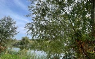 Teren intravilan ***15.000mp*** deschidere Lac Snagov 120ml // Snagov - Poză 11