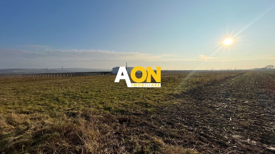 Teren de vanzare in zona Soseaua de Centura, 2.5 HA - Poză 2