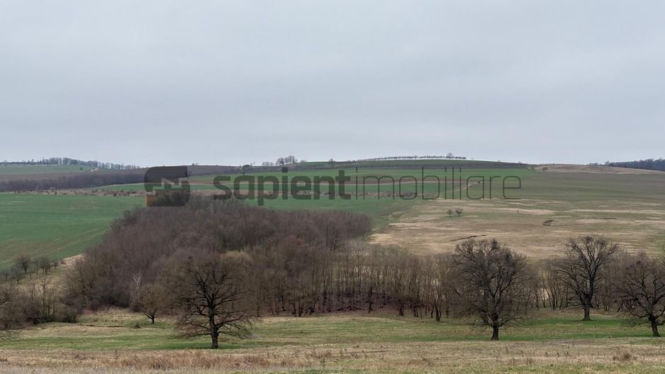 Teren agricol - Poză 4