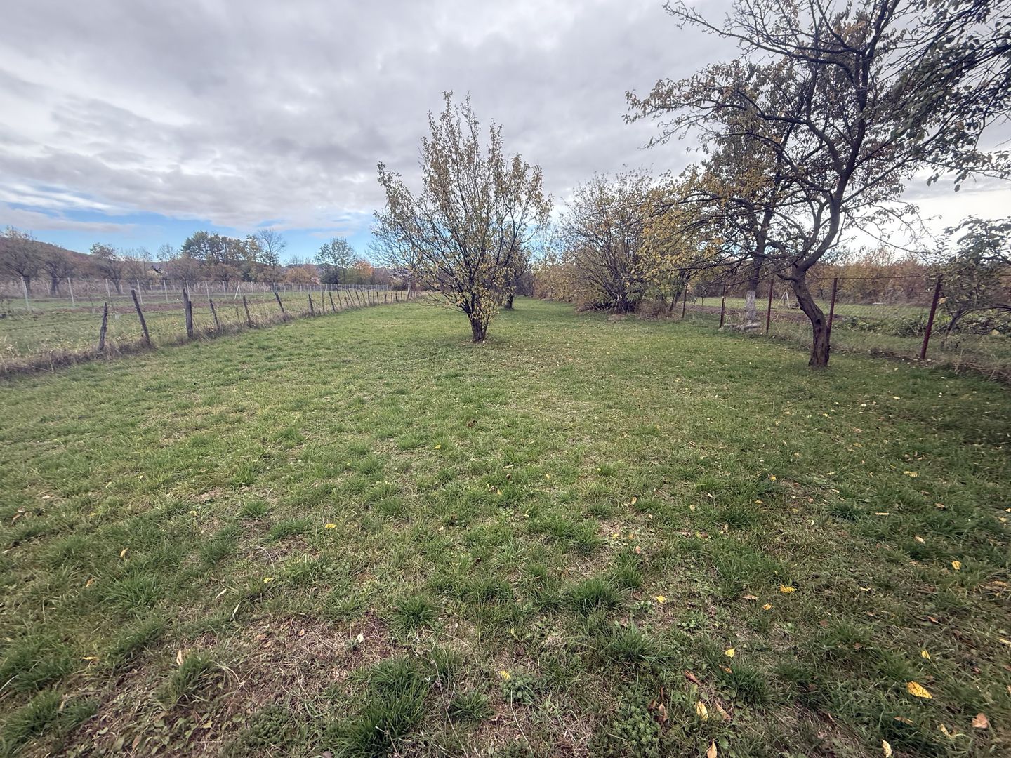 Teren intravilan împrejmuit 2331 mp la strada, toate utilitățile! - Poză 5