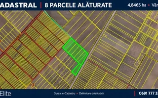 4,85 HA CU DESCHIDERE DE 300 M LA TRASEU | CRIULENI – SLOBOZIA-DUȘCA - Poză 11