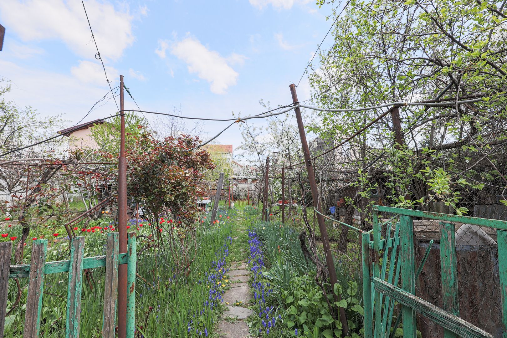 Apartament Clasic - str. Marasesti - Garaj & Gradina - COMISION 0% - Poză 6