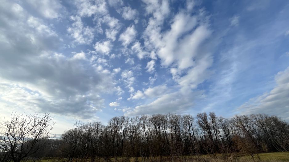 TEREN INTRAVILAN GENEROS | 72 ARI | GALANESTI - Poză 10
