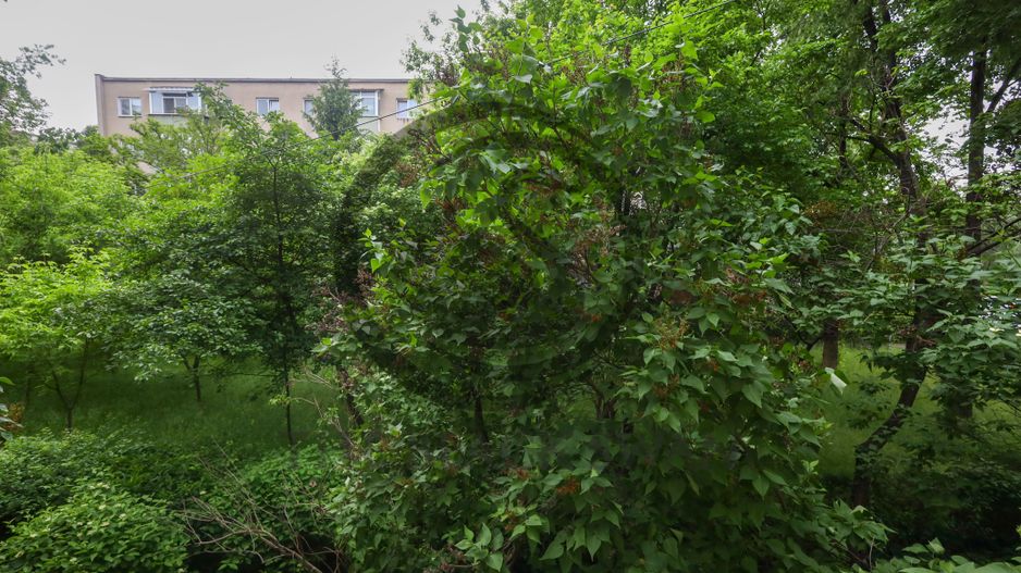 Apartament 2 camere de vanzare | Complet Renovat | Zona Nord, Ploiesti - Poză 15