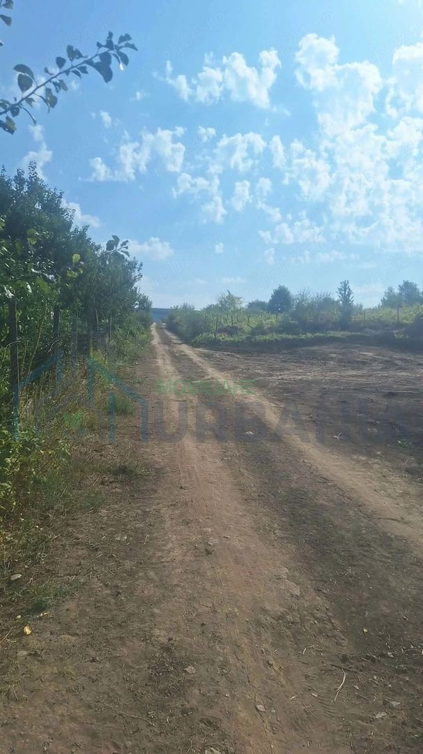 Teren de vânzare în Tomești, județul Iași - Poză 2
