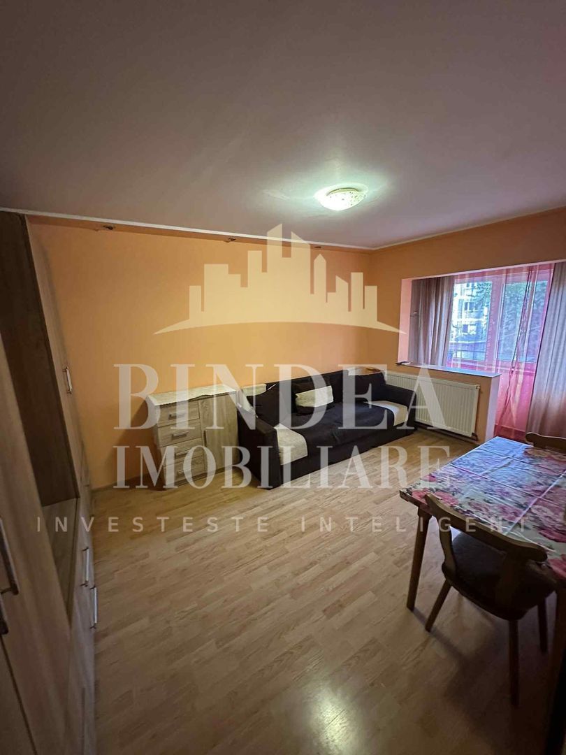 Apartament 1 camera, etaj 1, Lipovei - Poză 2