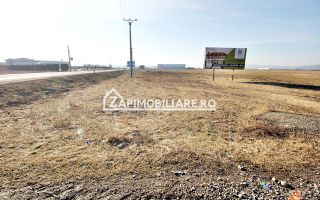 Teren intravilan 20.347 mp in Ungheni - Poză 4