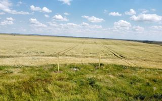 Teren la sosea Ortisoara - Autostrada A1 - Poză 20