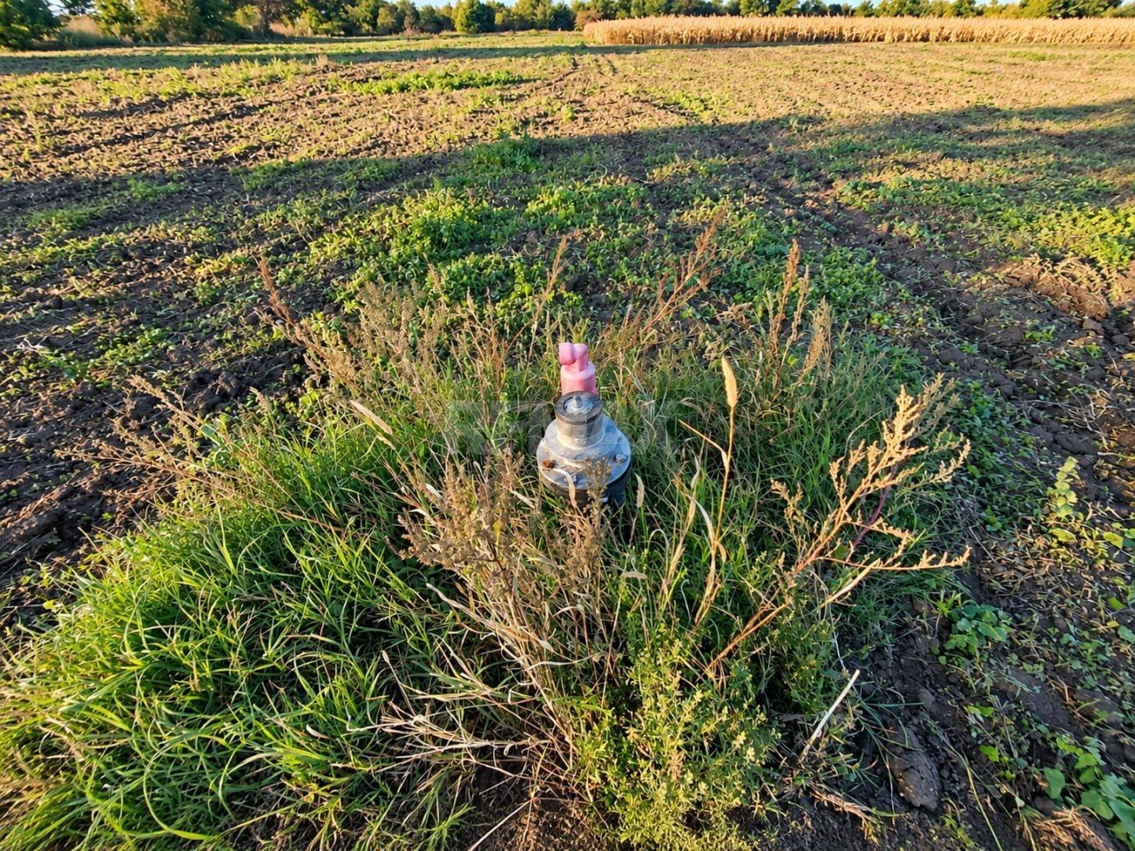 4,85 HA CU DESCHIDERE DE 300 M LA TRASEU | CRIULENI – SLOBOZIA-DUȘCA - Poză 8