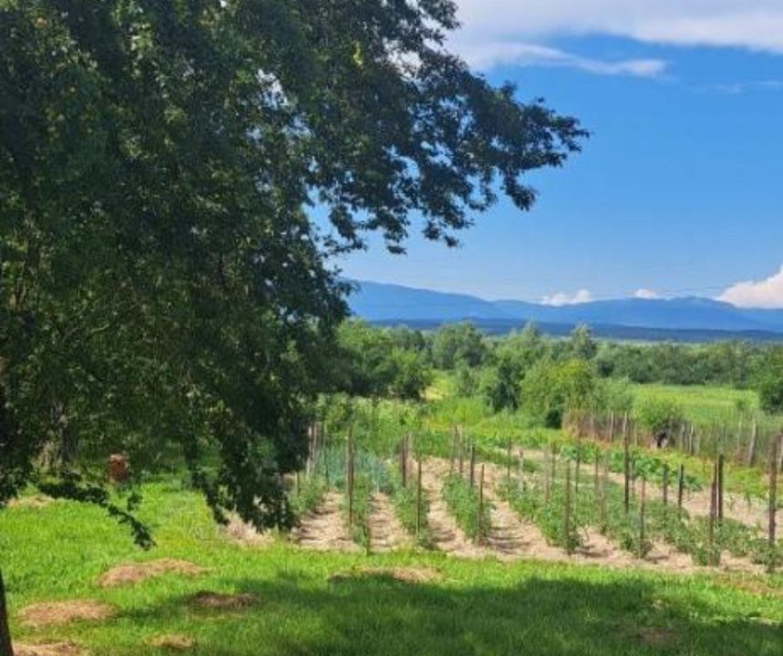 Proprietate cu potențial turistic și agricol | 7.661 mp|Șomanești-GORJ - Poză 1