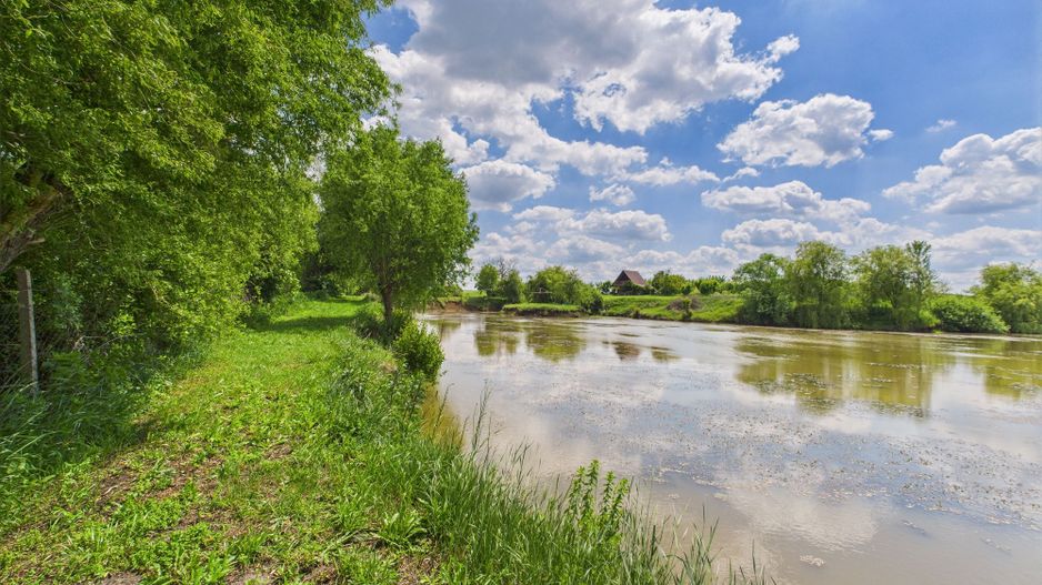 Teren cu baltă- oportunități multiple la Fibiș - Poză 25