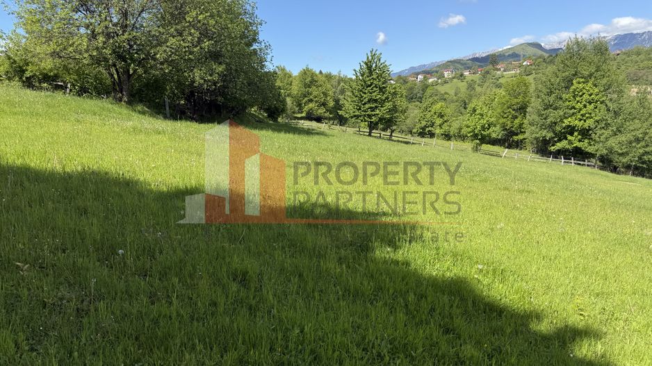Teren Bran Sohodol 6700 mp - Poză 9