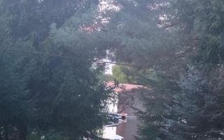 Vila deosebita pe malul lacului Snagov - Poză 3