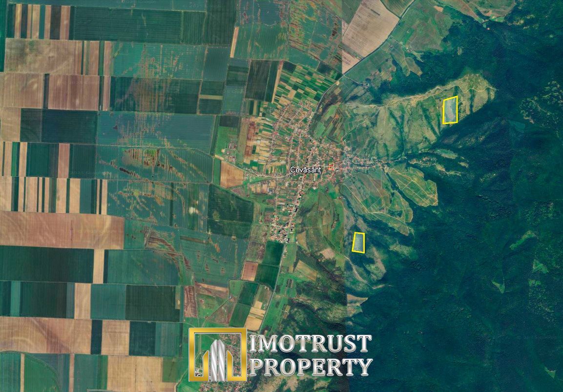 Teren agricol de vânzare 17,51 ha Covăsânț – 7.000 €/ha - Poză 1