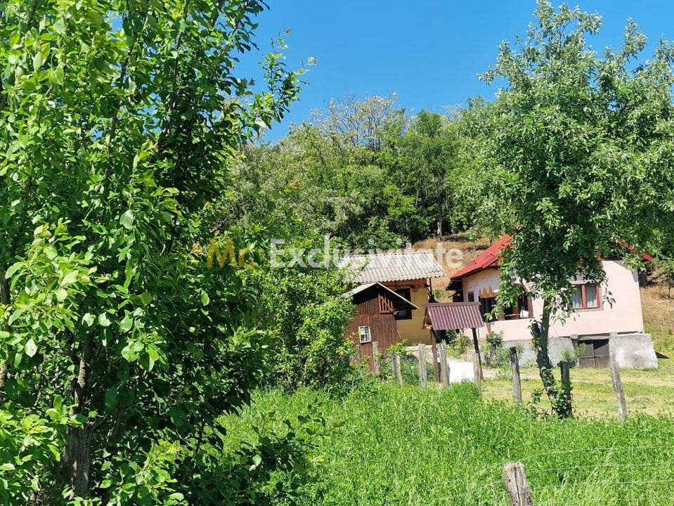 Proprietate în Comuna Botești, Județul Argeș – Zonă Pitorească și Liniștită ! - Poză 3