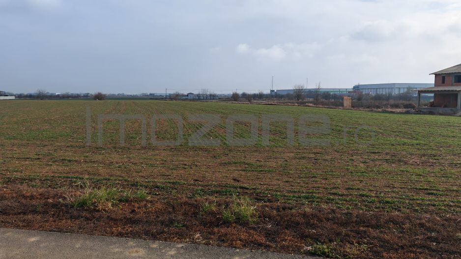 Dragomiresti Valea - Langa Centura, teren 31.200 mp, 35E/mp - Poză 4