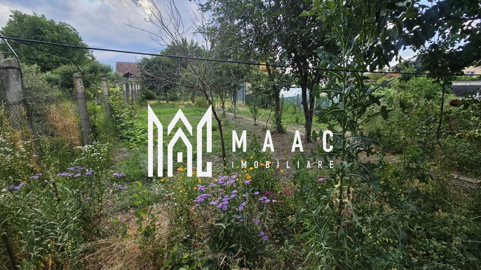 Casa individuala cu 3 camere | Teren 542 mp | Turnisor - Poză 23