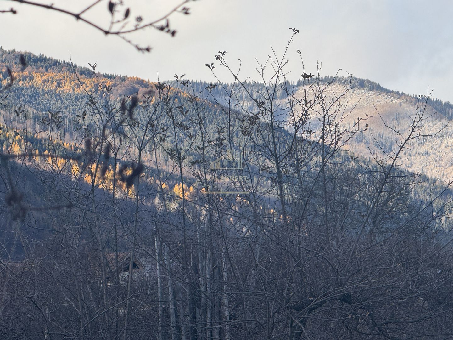 VILA 4 CAMERE, LERESTI, TEREN 3489 MP COMISION 0% CUMPARATOR - Poză 61