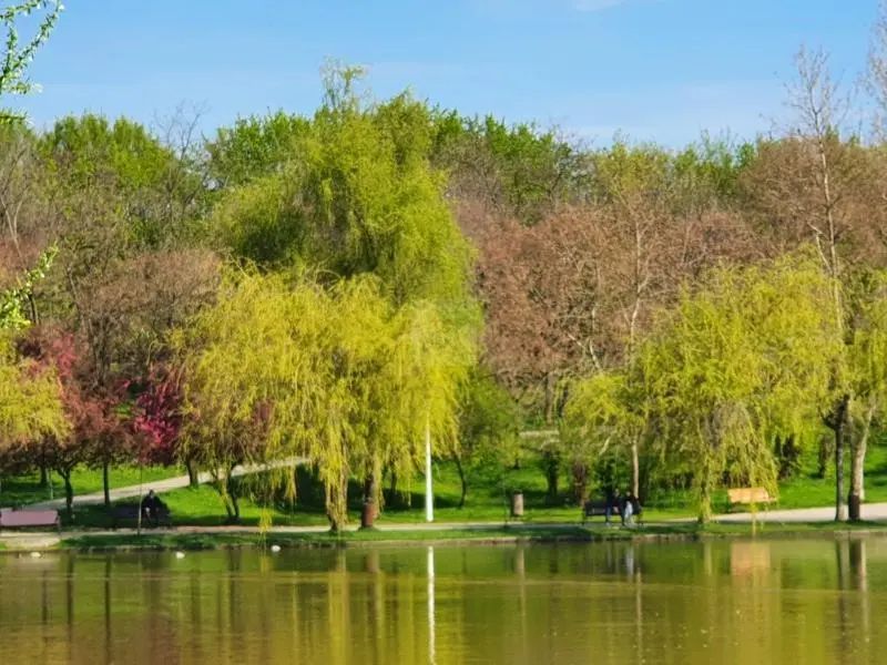 Garsoniera investitie Titan - Poză 1