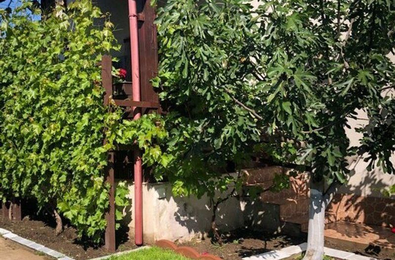 Vila - parter + mansarda -   Sendreni,  jud. Galati - Poză 7