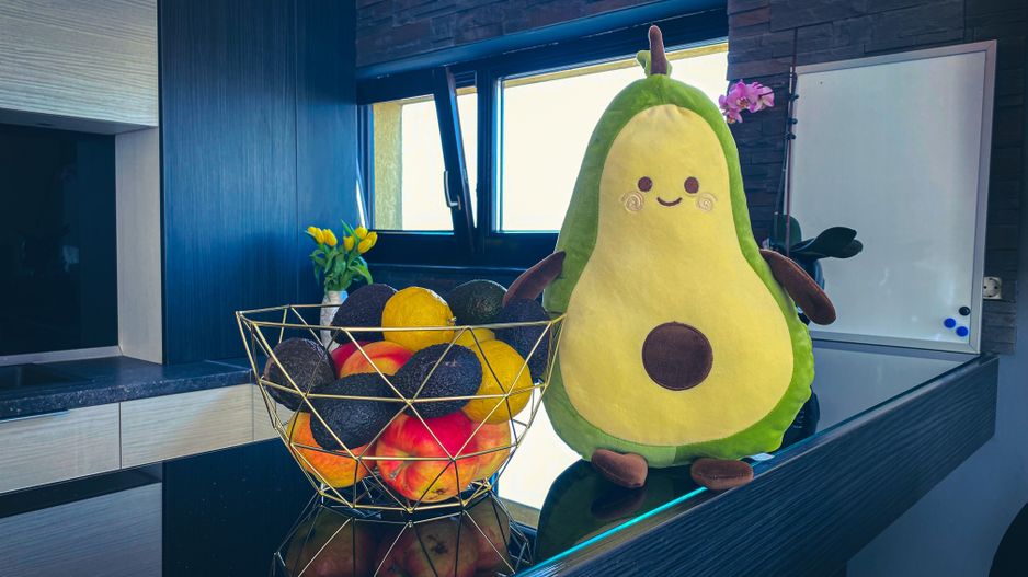 INCHIRIAT - Avocado 2 rooms Apartment - #forrent - Giroc - Poză 1