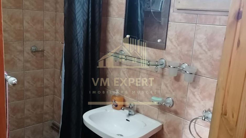 CASA 4 CAMERE, TEREN 290 MP, RUCAR, ARGES - Poză 16