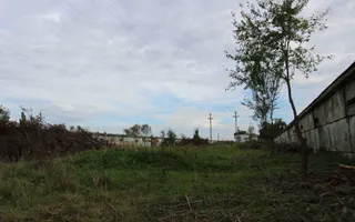 Vanzare hale Mosnita Noua-fosta Ferma 7 - Poză 16