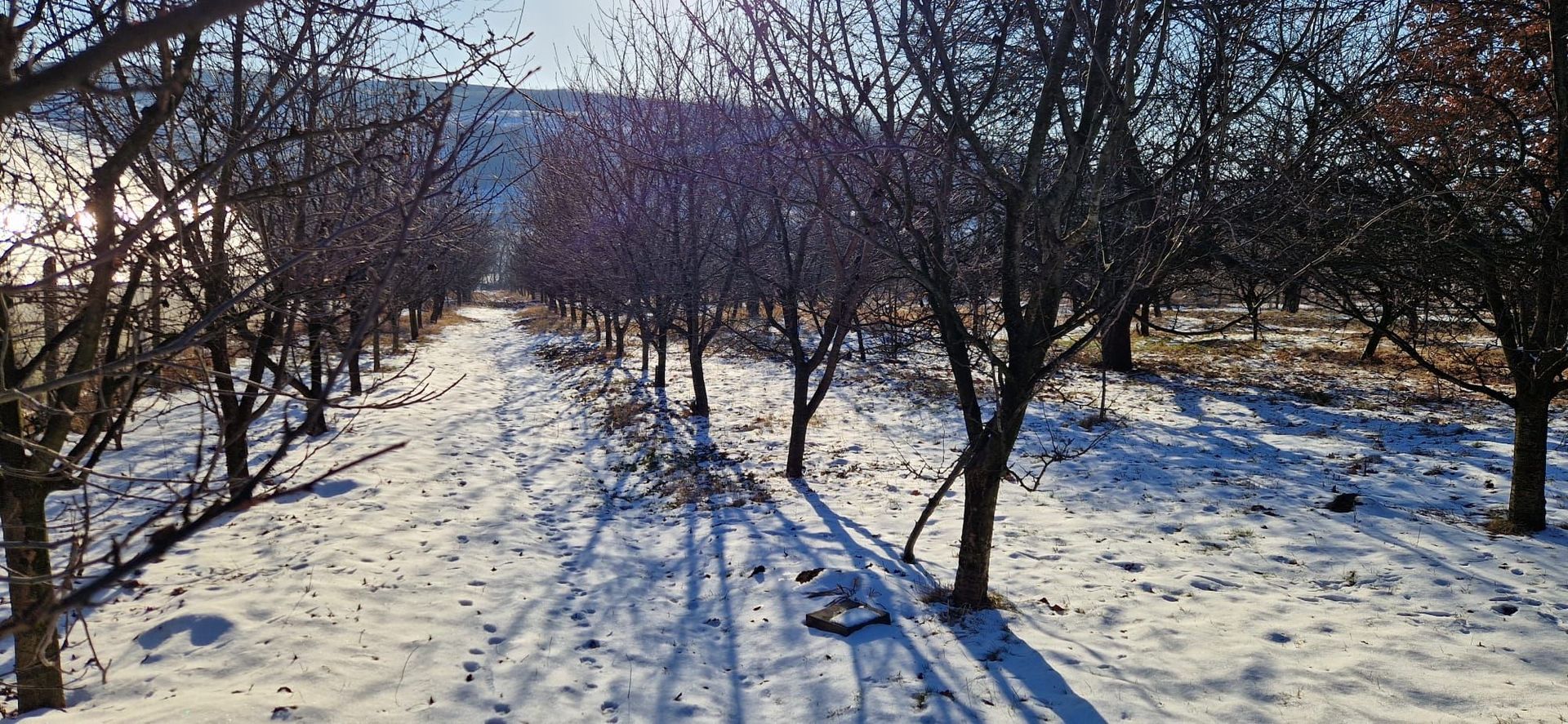 Teren intravilan parcelat Falticeni - Poză 3