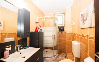 Casa Vila individuala spatioasa cu gradina de vanzare comuna Berceni - Poză 19