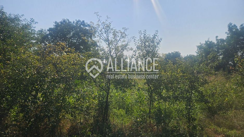 ISTRIA (COD04)-Teren intravilan 1528 mp-Constanta - Poză 5