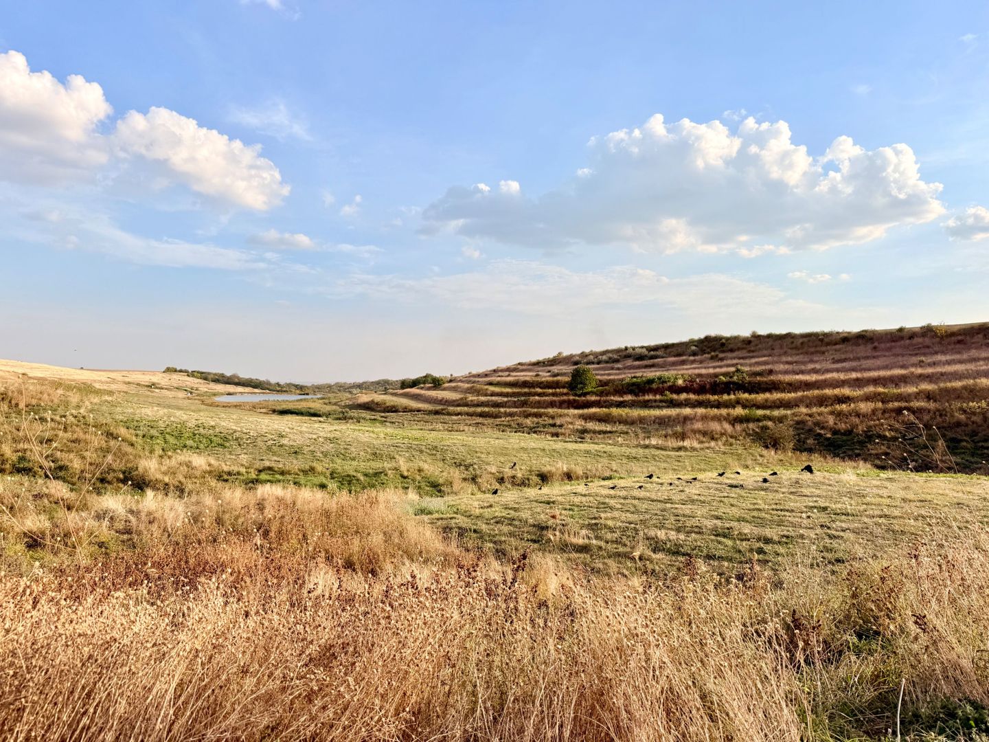 Teren Daia 75000 mp cu balta 30000 mp izvoare - Poză 21