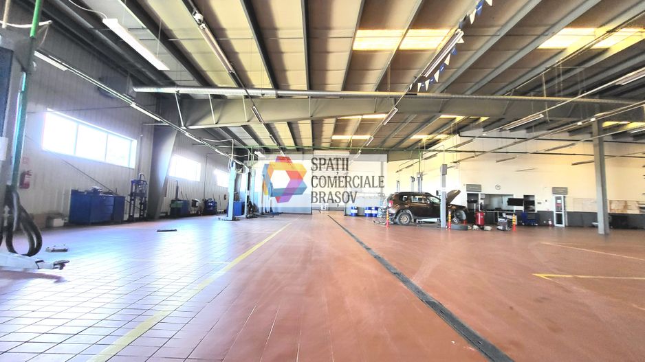 Showroom cu hală de depozitare - 6230 mp #Plus-imo.ro - Poză 7