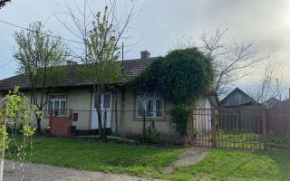 Vând imobil în comuna Bivolari, județul Iași. - Poză 2