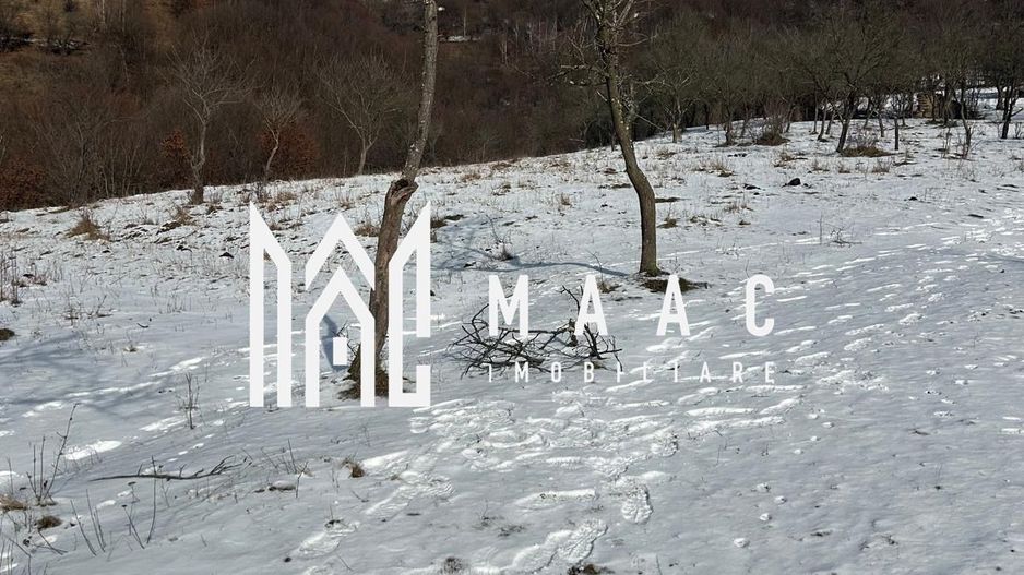 Teren de vânzare, 7750 mp I Orientare sudică I Caineni - Poză 1