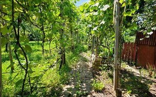 Casa cu 2 corpuri de cladire, 744 mp teren, toate utilitatile, Micesti - Poză 4