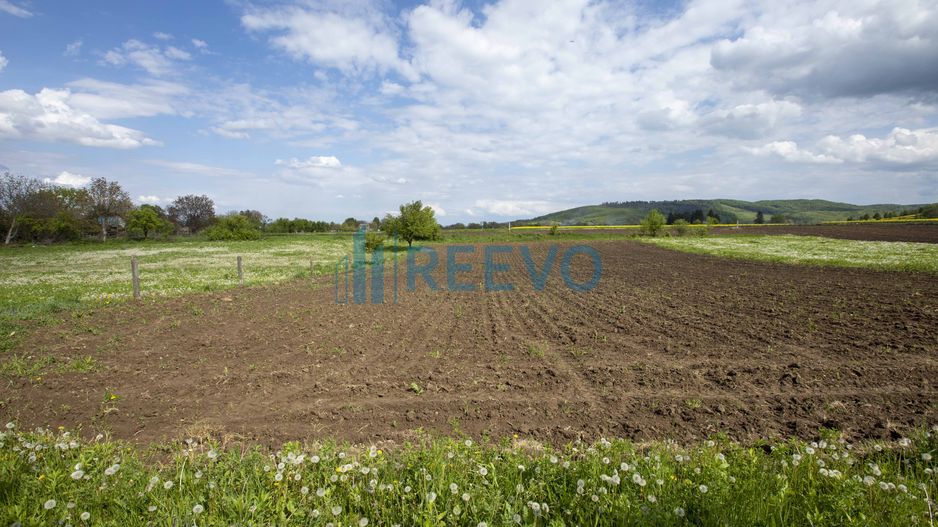 Teren intravilan Blăgești, Bacău - Poză 7