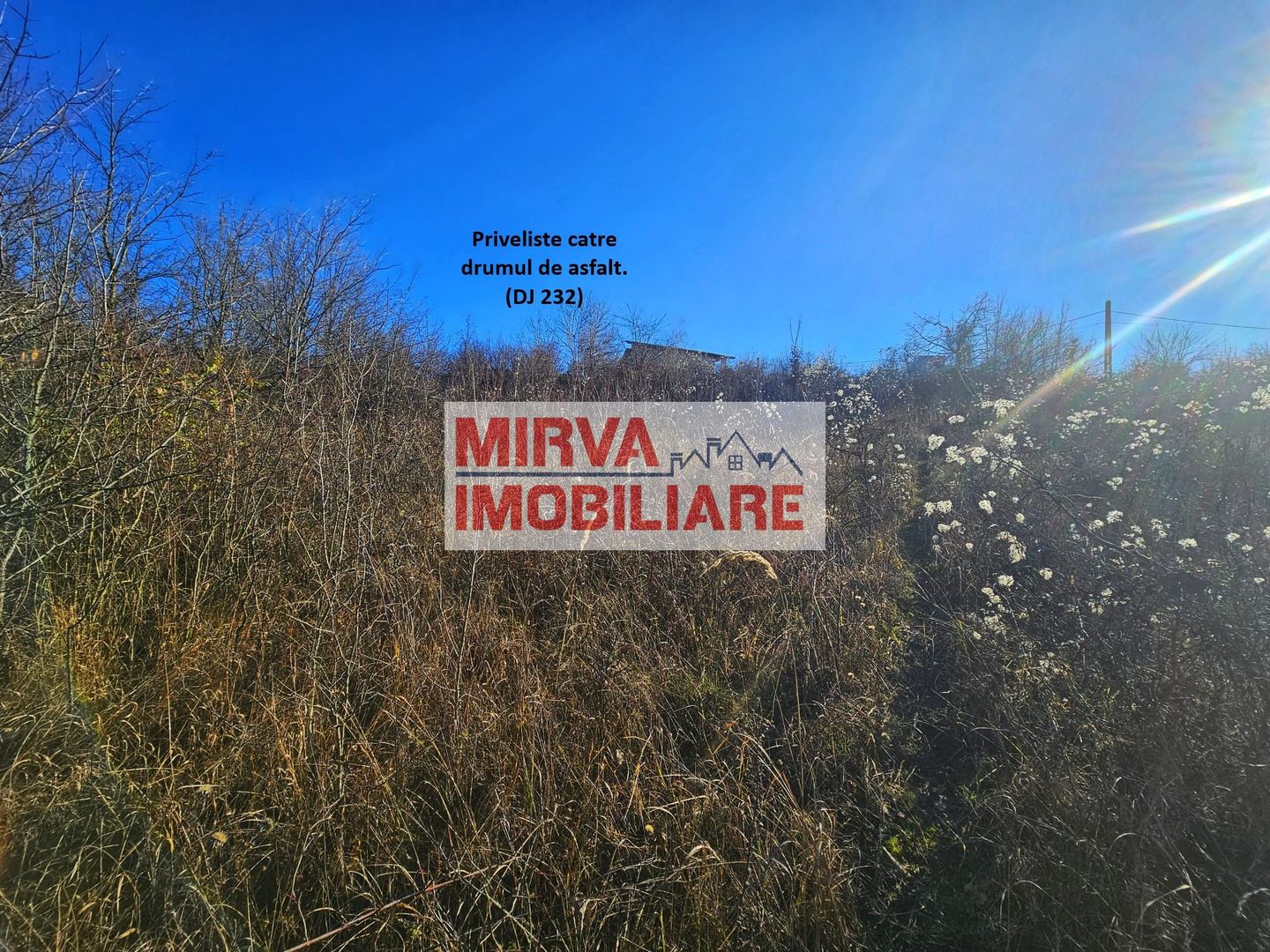 Teren intravilan 1.000 mp – Seciu, 2 deschideri, Priveliște panoramica - Poză 11
