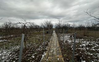 Casa cu teren de 1500 mp, in pitorescul sat Alunis - potrivita pentru duplex - Poză 15