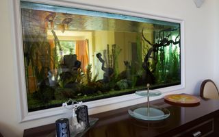 SNAGOV | VILA DE LUX CU 90M DESCHIDERE LA LAC | POZITIE EXCEPTIONALA - Poză 27