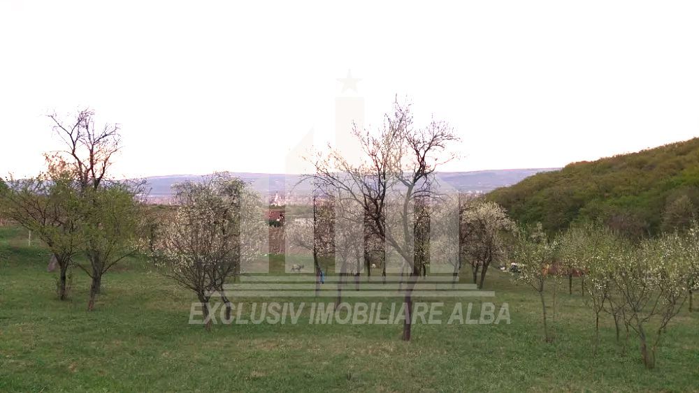 Teren intravilan | De vanzare | 1808 mp | 18 ml deschidere | Seigau - Poză 2