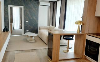 Apartament 2 camere Dumbravita etaj 1 - Poză 7