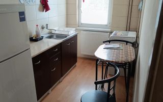 Apartament 1 camera Sagului etaj 3 - Poză 4