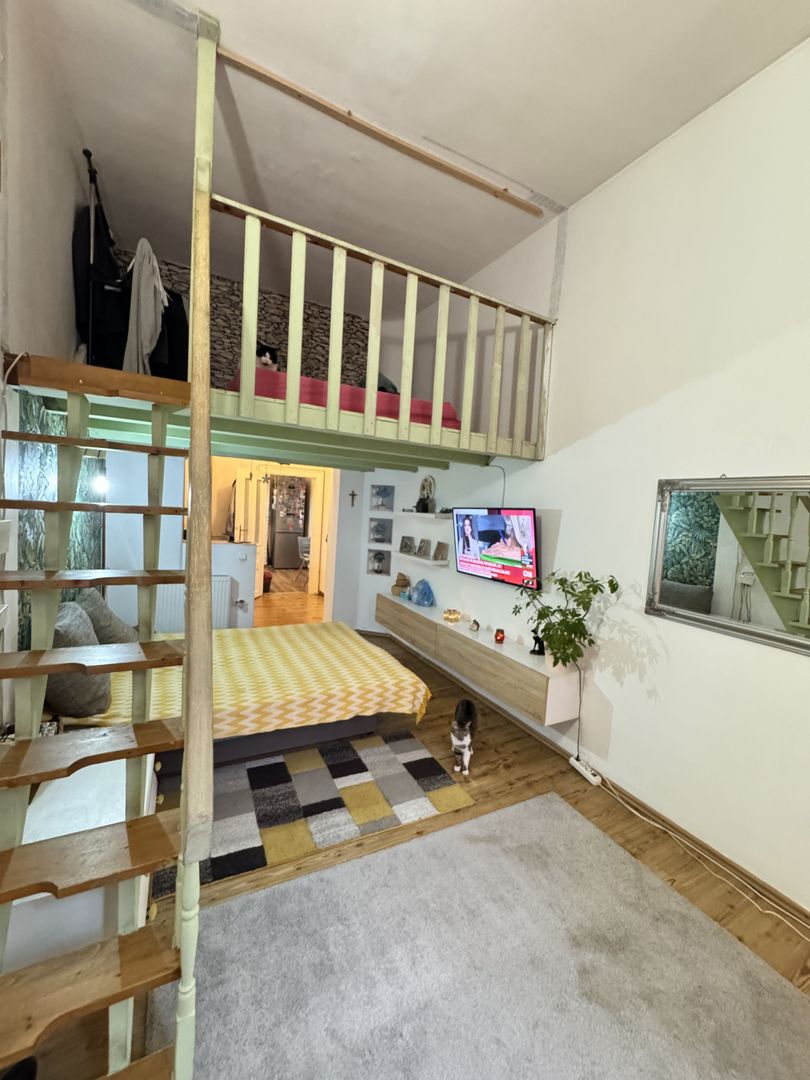 Casa Ultracentrala în Oradea, pe malul Crișului Repede - Poză 9