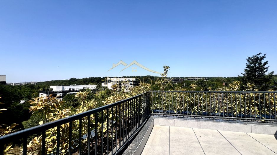 Apartament de Inchiriat | Iancu Nicolae | 154 mp | Terasa 150 mp | - Poză 19