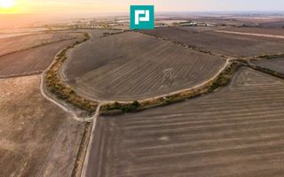 Teren arabil 68,800mp Zimandu Nou - Poză 3