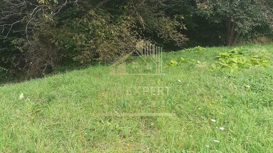 TEREN INTRAVILAN 3698 MP, CAMPULUNG, ARGES - Poză 6